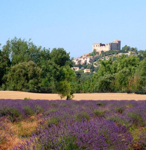 Le Provence Apartment Greoux-les-Bains Bagian luar foto